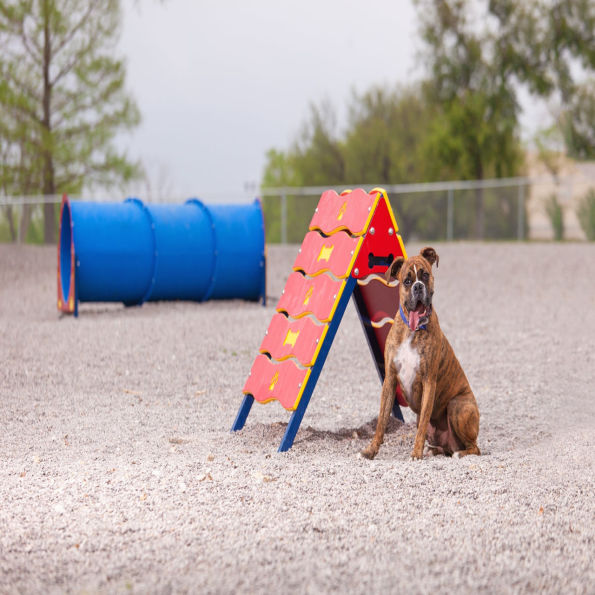 Canine Courtyard™ Dog Park Essentials Kit
