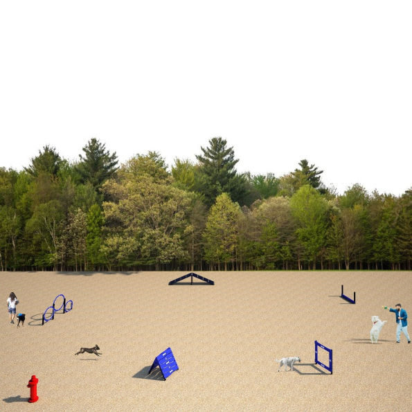 Canine Courtyard™ Dog Park Essentials Kit