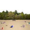 Canine Courtyard™ Dog Park Essentials Kit thumbnail 1