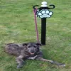 Absolute Basics Dog Park Amenities Kit thumbnail 7