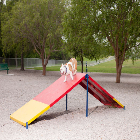 Dog Park A-Frame