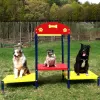 Dog Park Step Up Table thumbnail 1