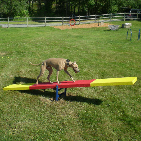Teeter Totter
