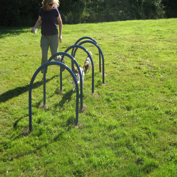 Hound Hoops Set of 5