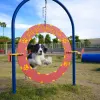 Dog Park Adjustable Tire Jump thumbnail 1