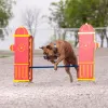 Dog Park Adjustable Jump Bar thumbnail 6