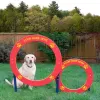 Double Hoop Dog Park Jump thumbnail 1