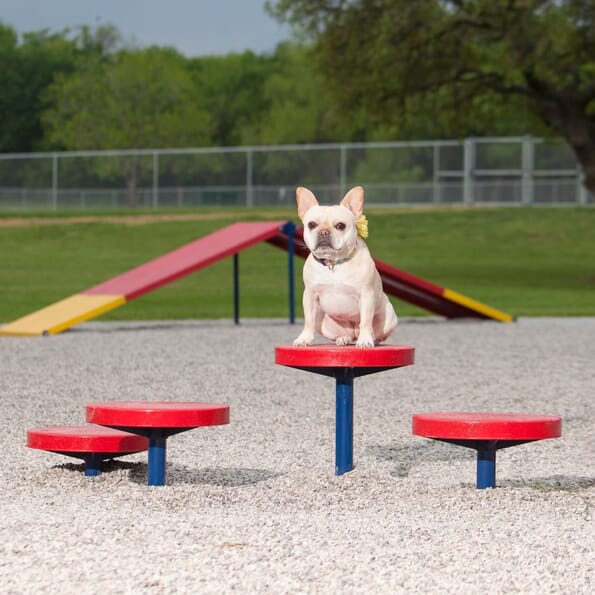 Dog Park Dalmatian Climbing Discs - Set of 4