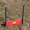 Dog Park Pointer Plank Jumps thumbnail 2