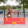 Dog Park Pointer Plank Jumps thumbnail 1
