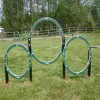Husky Triple Hoop thumbnail 3