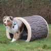 Terrier Tunnel thumbnail 5