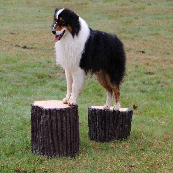 Stump Jump