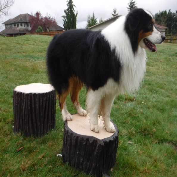 Stump Jump