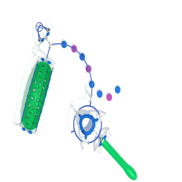 Bashful Bluff Get Physical Structure