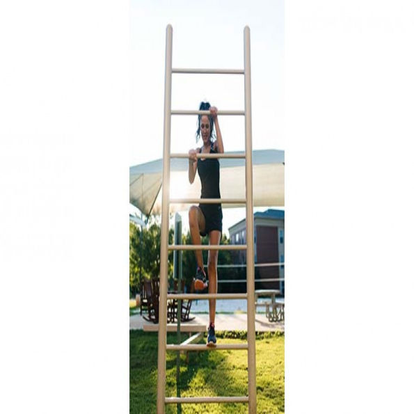 Vertical Fitness Ladder