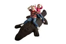 Crocodile Play Climber