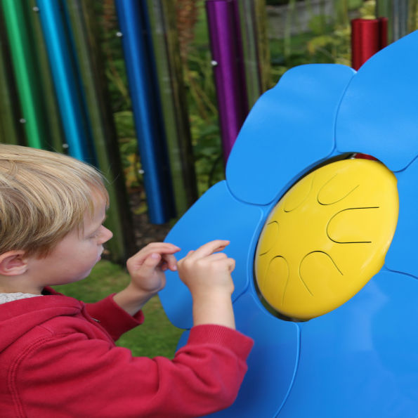 Forget-Me-Not Petal Drum