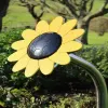 Sunflower Petal Drum thumbnail 2