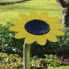 Sunflower Petal Drum thumbnail 6