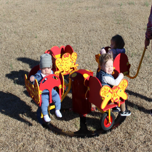 Carrington's Carousel