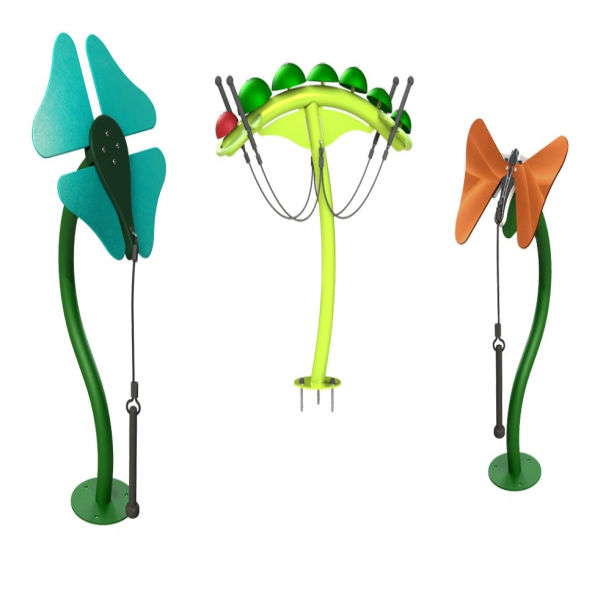 Metamorphosis Ensemble