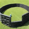 In-Ground Gaga Ball Pit thumbnail 10