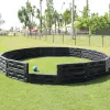 In-Ground Gaga Ball Pit thumbnail 15