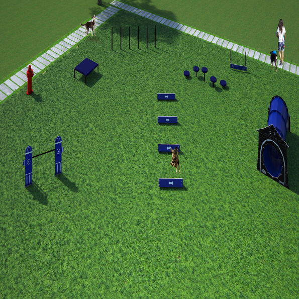 Small Dog Agility System