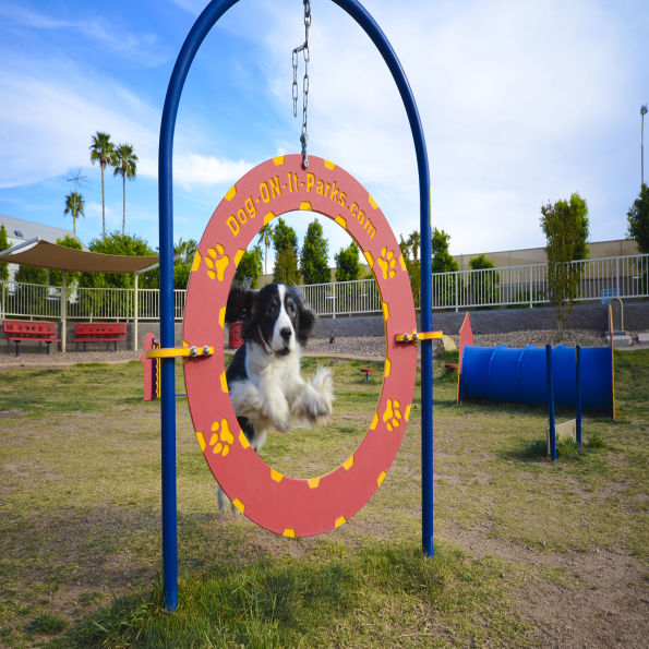 Dog Park Adjustable Tire Jump