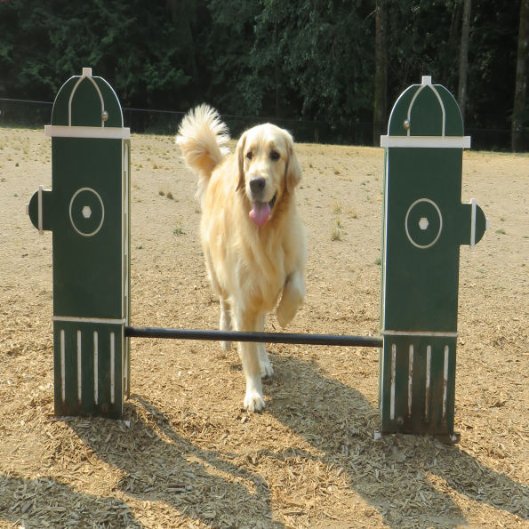 Dog Park Adjustable Jump Bar