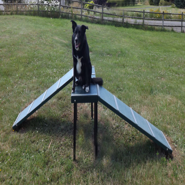 Dachshund Double Dog Park Ramp