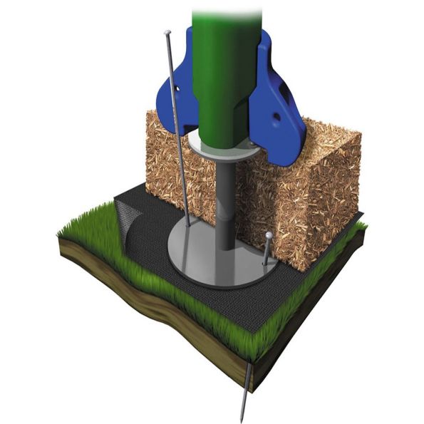 Discovery Center Sapling