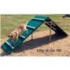 BarkPark™ King of the Hill thumbnail 1