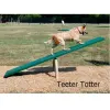 BarkPark™ Teeter Totter thumbnail 1