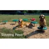 BarkPark™ Stepping Paws thumbnail 1