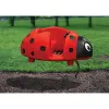 Scarlet Ladybug Spring Rider thumbnail 1
