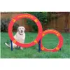 Double Hoop Dog Park Jump thumbnail 1