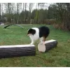 Dog Leg Walk - Set of 2 thumbnail 1