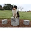 Stepping Stones - Set of 3 thumbnail 1