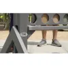 Frog 4™ thumbnail 2
