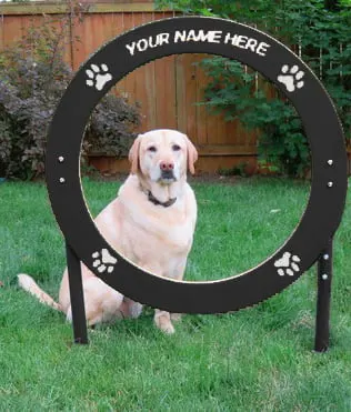 Spaniel Single Hoop Jump