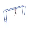 Straight Overhead Scaling Ladder thumbnail 1